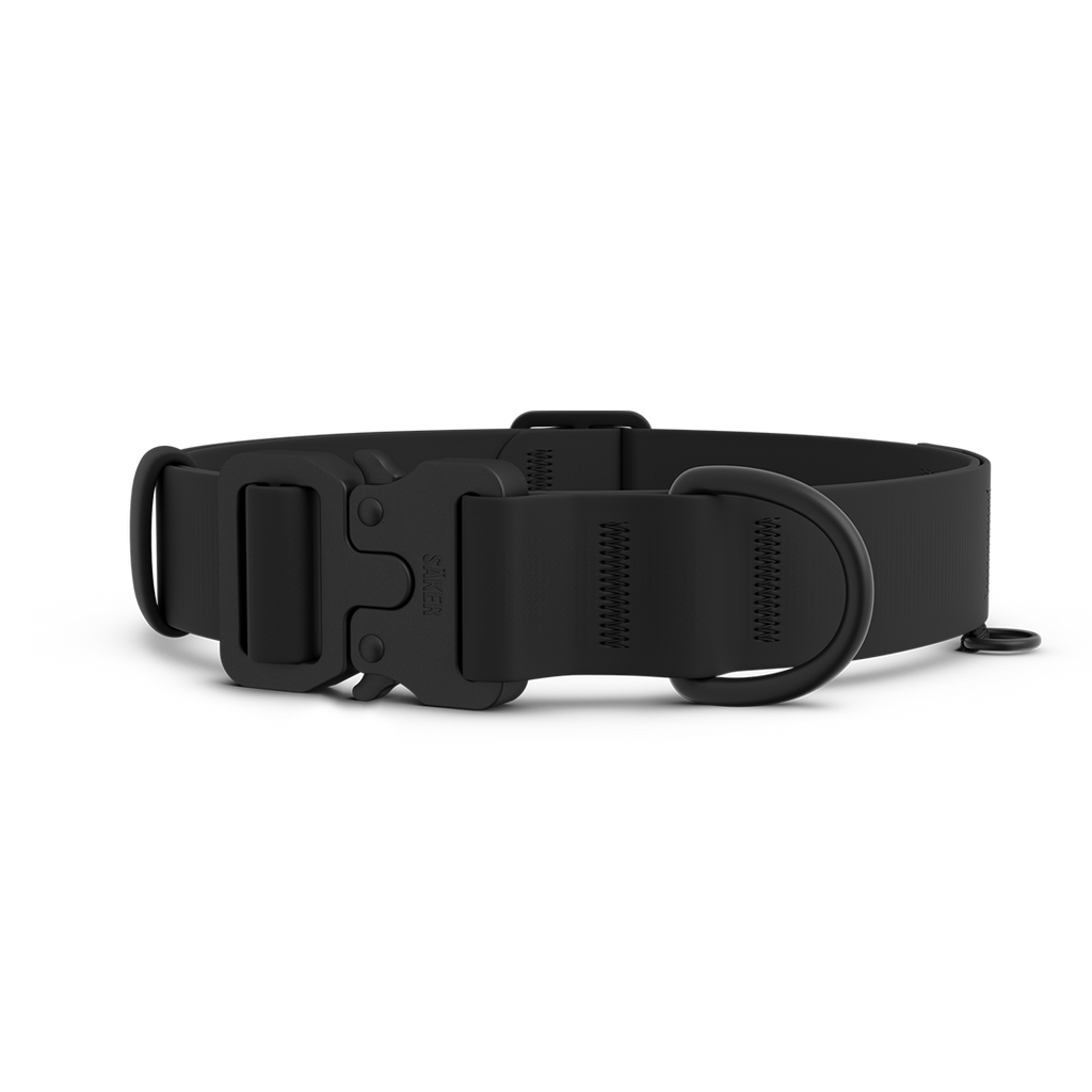 Dog Collar product image 1