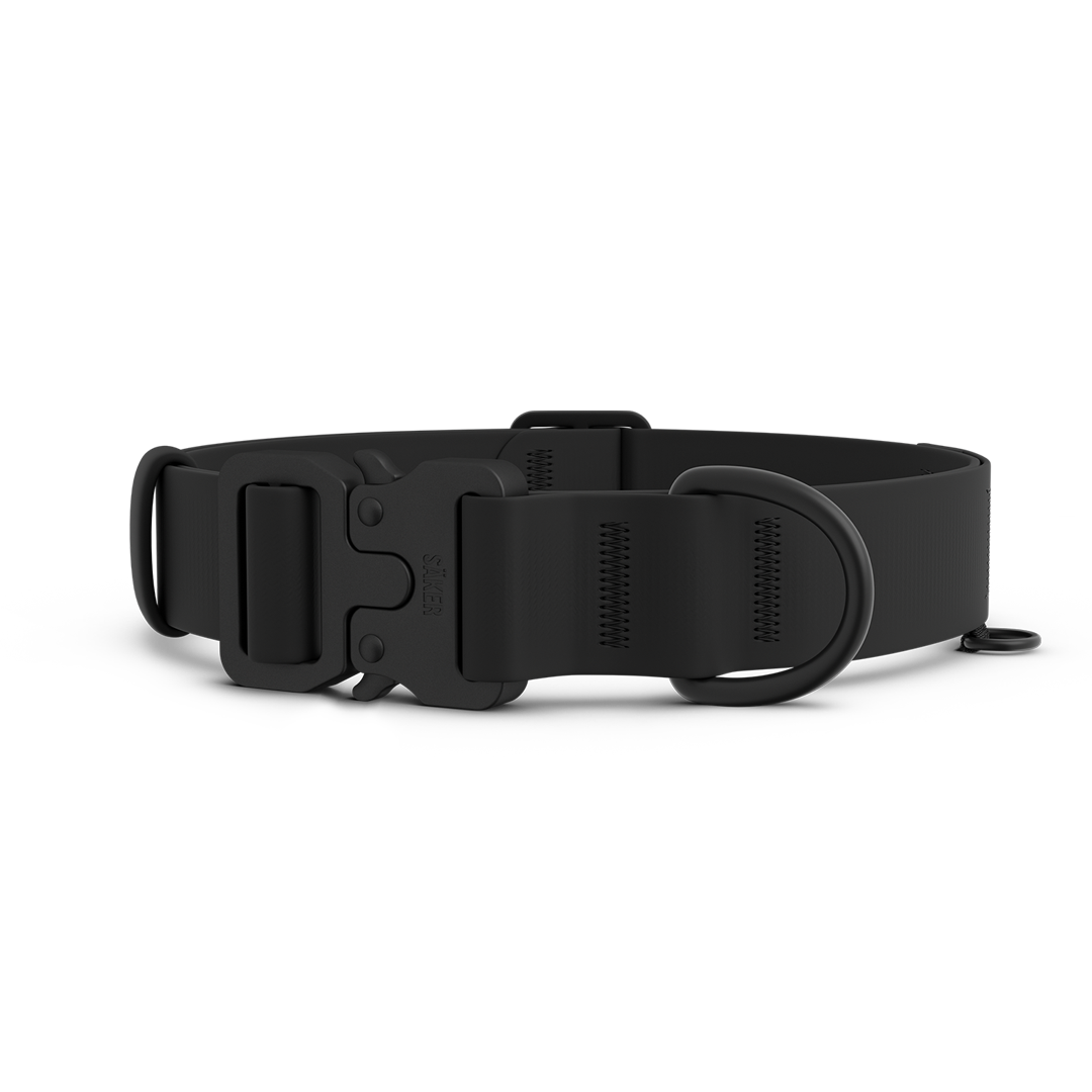 Dog Collar product image 1