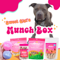 Dog Treat Gift Box product image 1