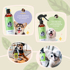 Dog Flea & Tick Spray product image 6