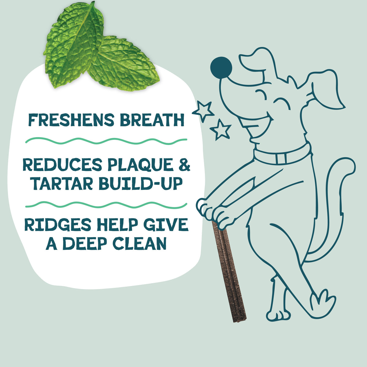 Dog Dental Chews product image 4