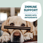Dog Dental Chews product image 5