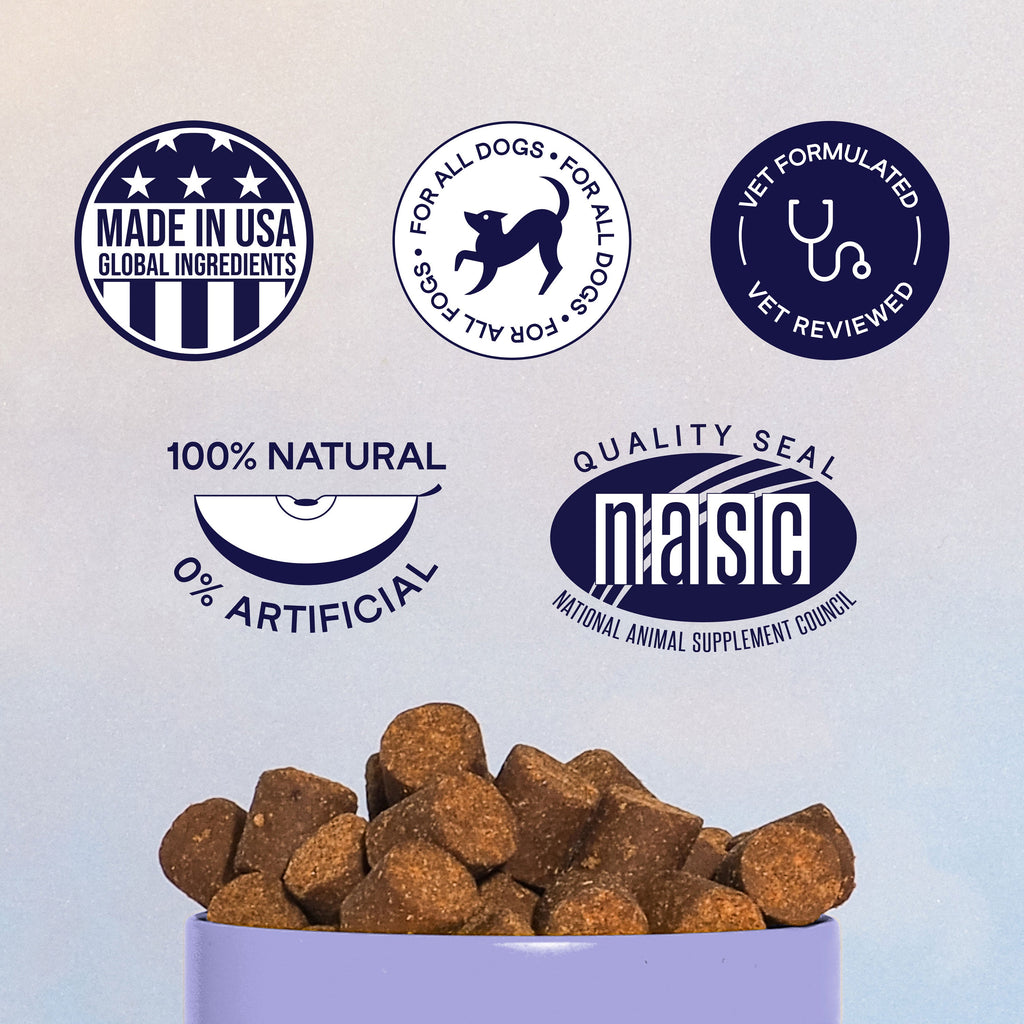 Dog Probiotic Soft Chew Supplement product image 3