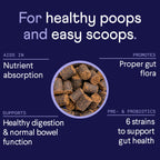 Dog Probiotic Soft Chew Supplement product image 4