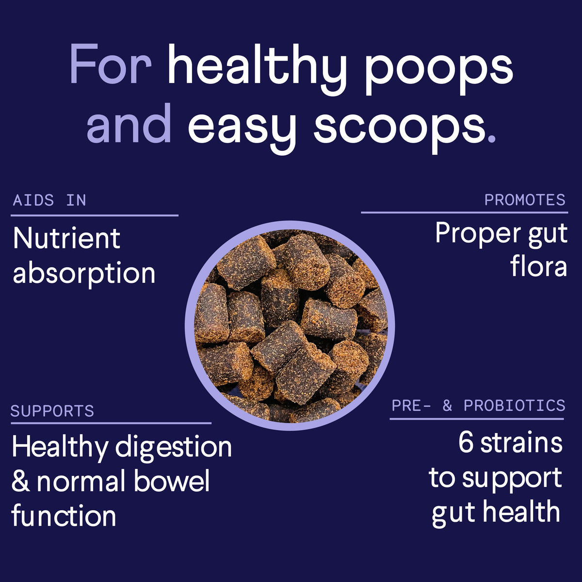 Dog Probiotic Soft Chew Supplement product image 4