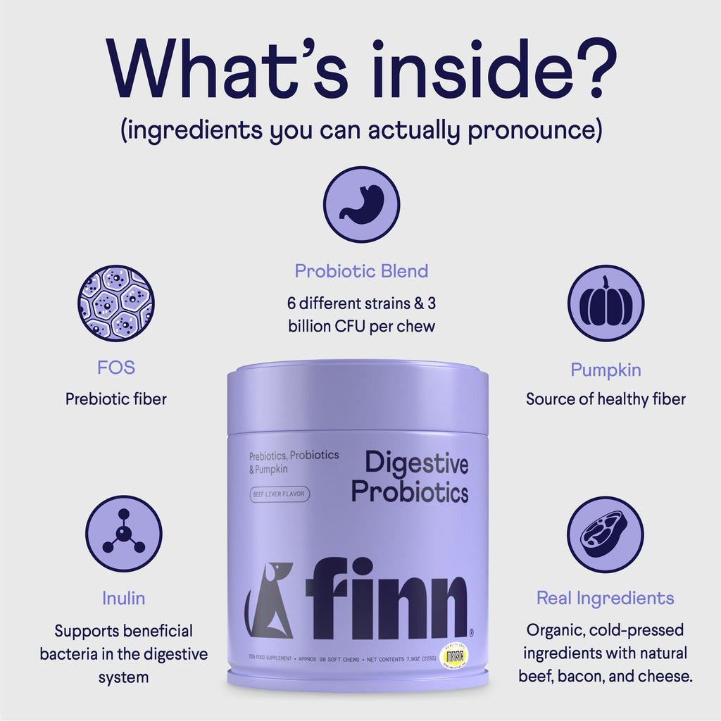 Dog Probiotic Soft Chew Supplement product image 5