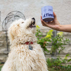Dog Probiotic Soft Chew Supplement product image 6