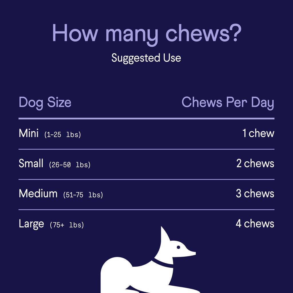Dog Probiotic Soft Chew Supplement product image 8