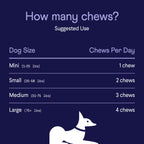 Dog Probiotic Soft Chew Supplement product image 8