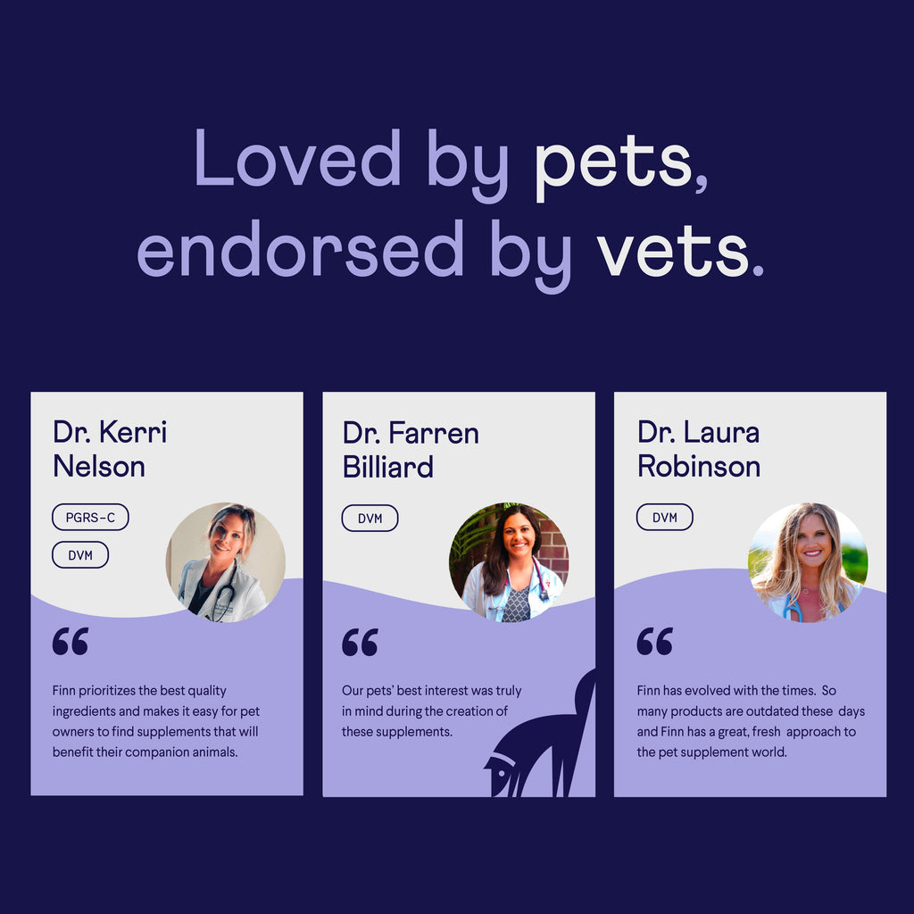 Dog Probiotic Soft Chew Supplement product image 10