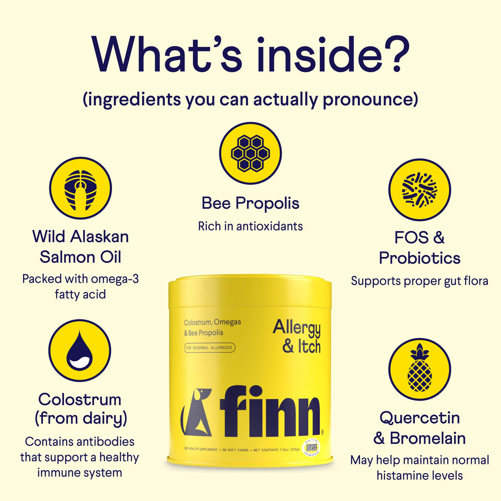 The image shows a yellow container of Finn Allergy & Itch Supplement For Dogs, displaying icons with the text: Wild Alaskan Salmon Oil, Bee Propolis, FOS & Probiotics, Colostrum (from dairy), and Quercetin & Bromelain. These ingredients provide allergy relief and strengthen immune defense.