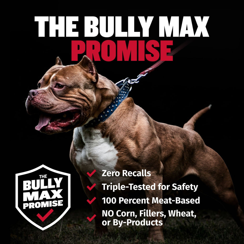 Liquid Muscle Support Supplement for Dogs product image 9