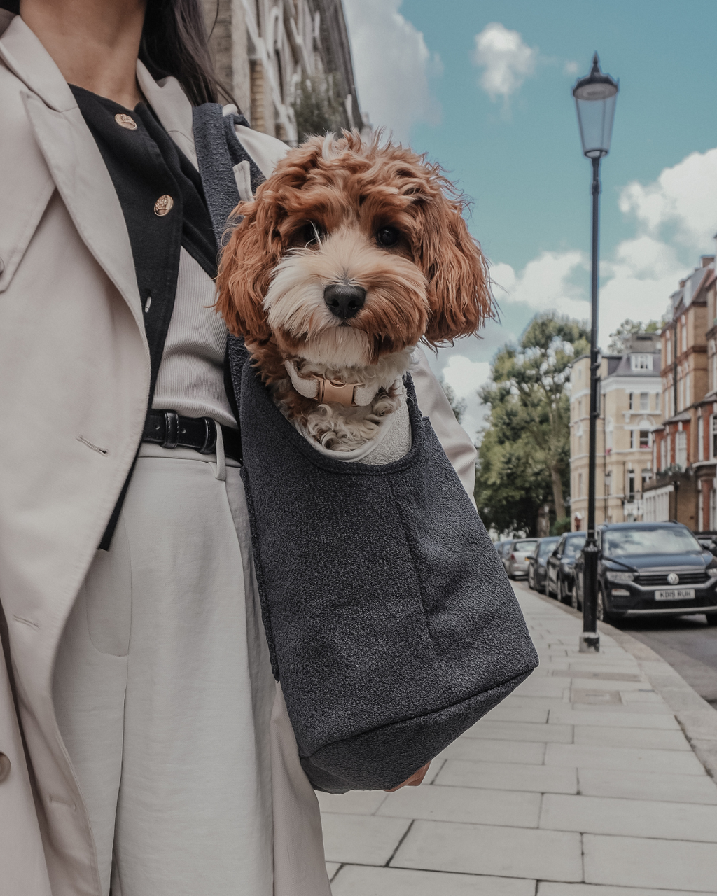 Soft-Sided Pet Carrier product image 2