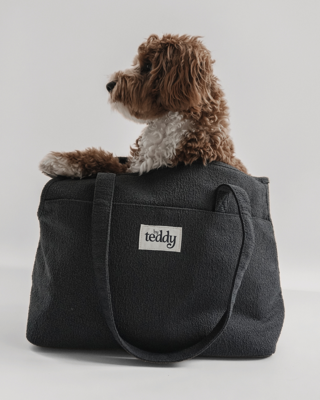Soft-Sided Pet Carrier product image 4