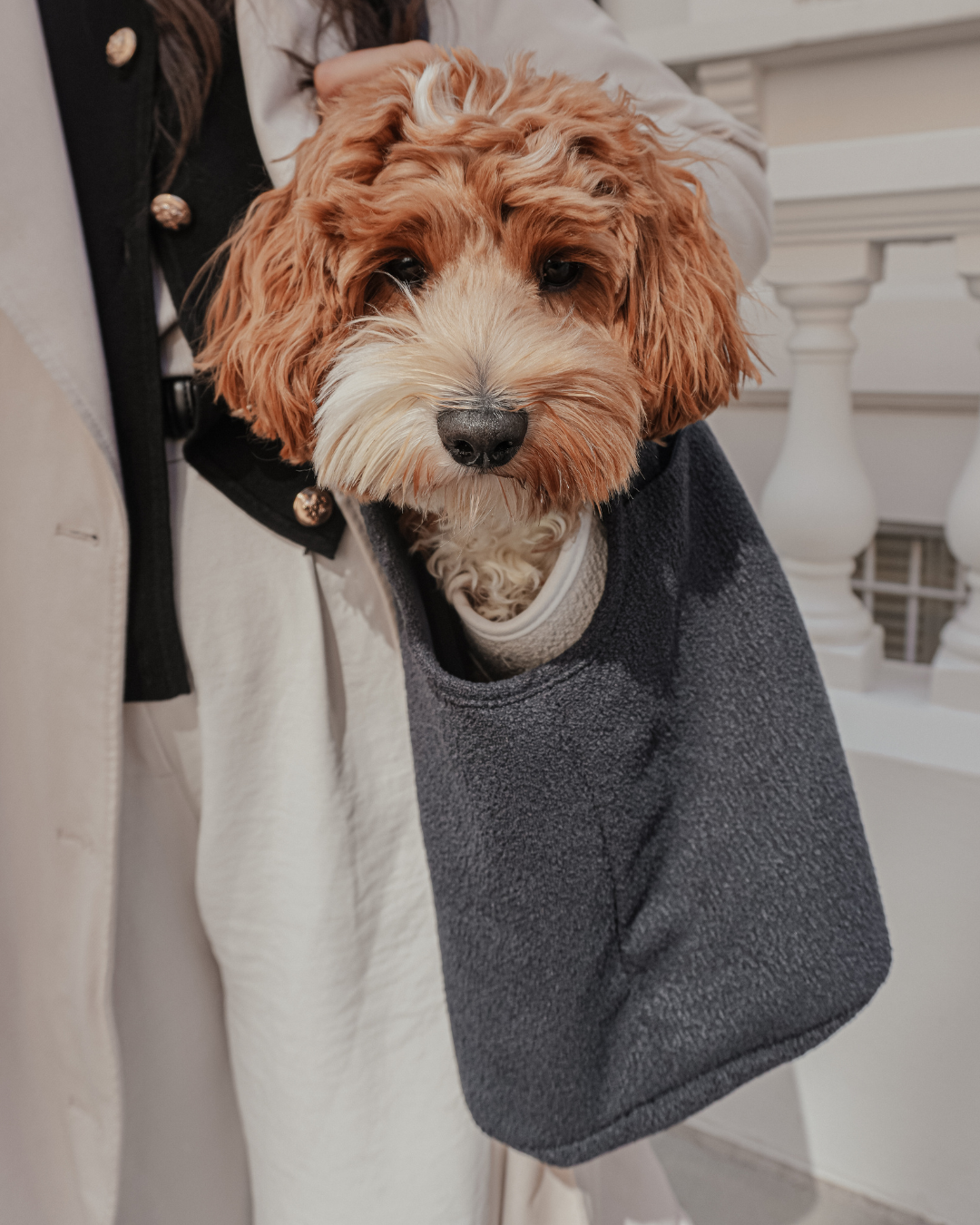 Soft-Sided Pet Carrier product image 5