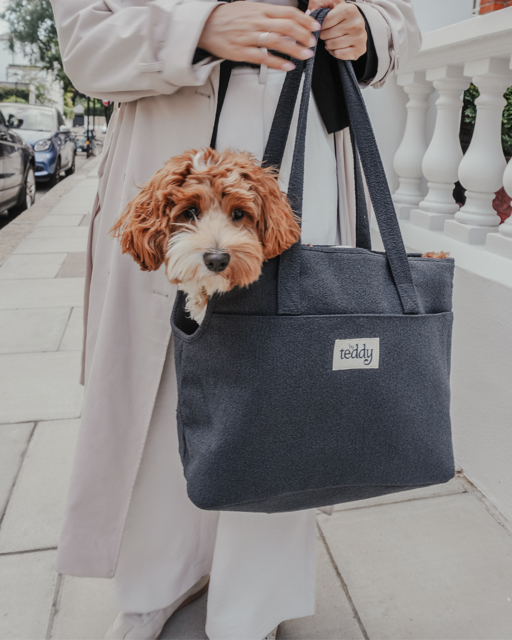 Soft-Sided Pet Carrier product image 6