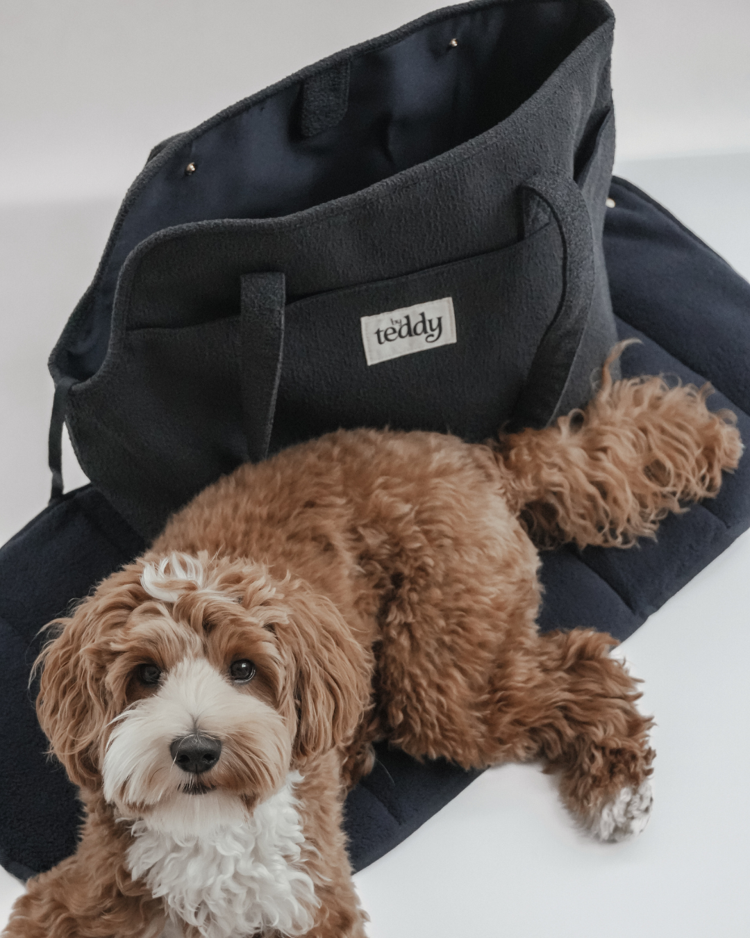 Soft-Sided Pet Carrier product image 8