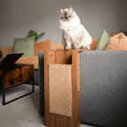 Cat Scratcher product image 6