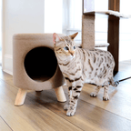 Pet Stool product image 6