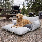 Travel Pet Bed product image 42