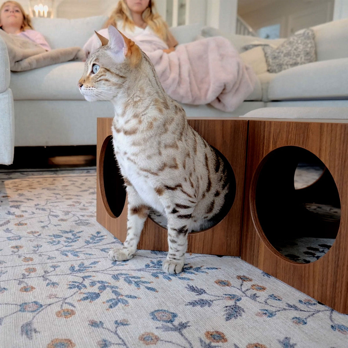 Cat Wall Shelf and Side Table product image 3