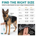 Dog Harness product image 2