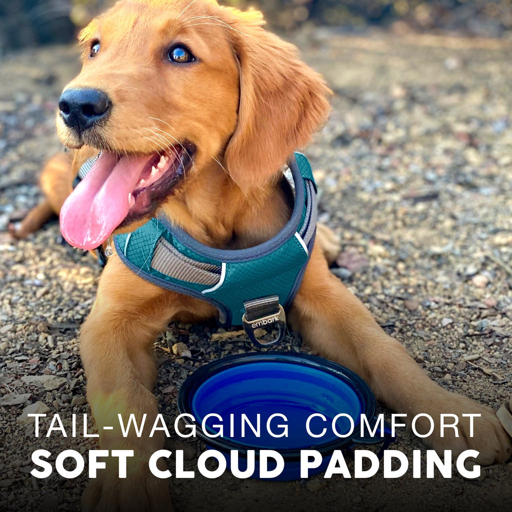 Dog Harness product image 3