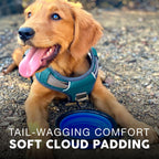 Dog Harness product image 3