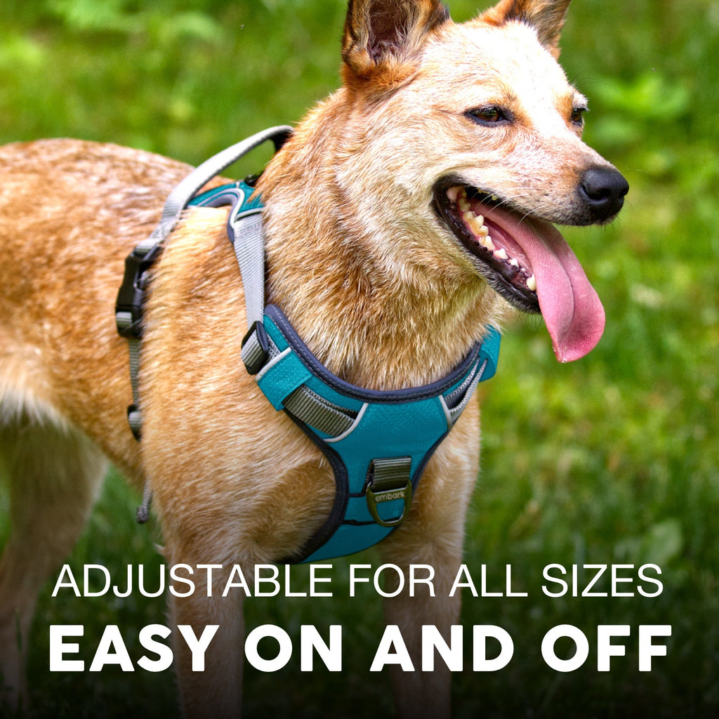 Dog Harness product image 4