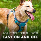 Dog Harness product image 4