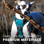 Dog Harness product image 5