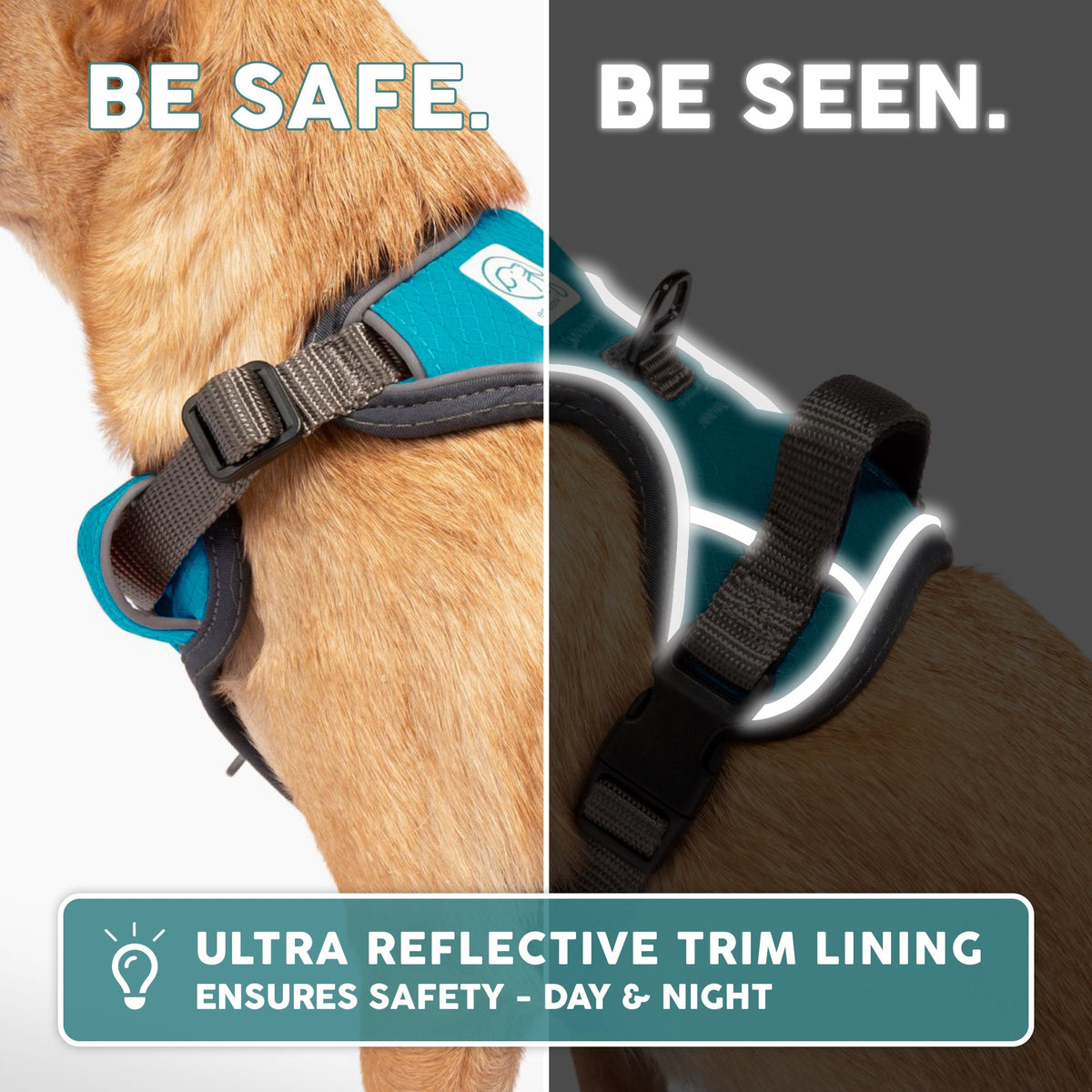 Dog Harness product image 6