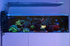 App-Controlled Reef Aquarium LED Light Bar product image 17