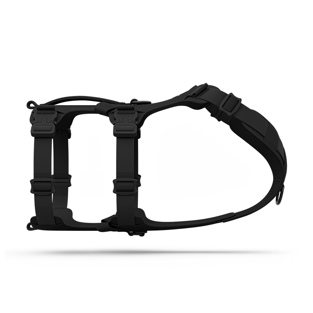 Pet Harness product image 1