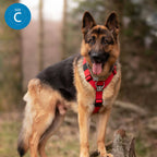 Magenta No-Pull Dog Training Harness product image 10