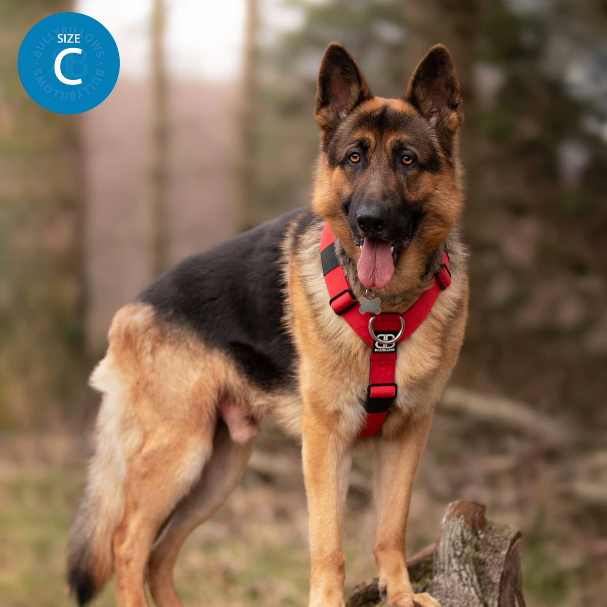 Magenta No-Pull Dog Training Harness product image 10