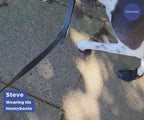 Greyhound and Whippet Dog Boots product image 55
