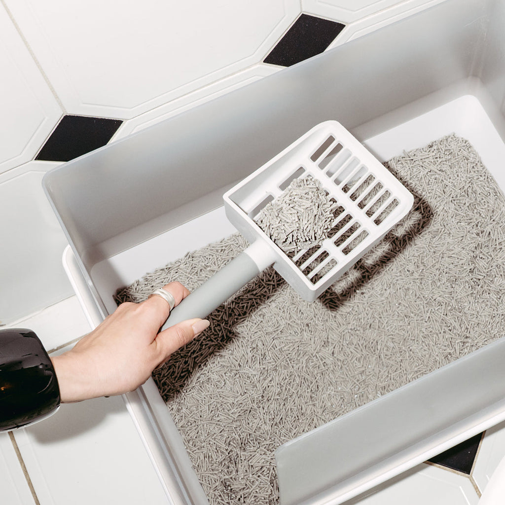 Wide-Slot Cat Litter Scoop product image 5