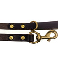 Dog Leash product image 1