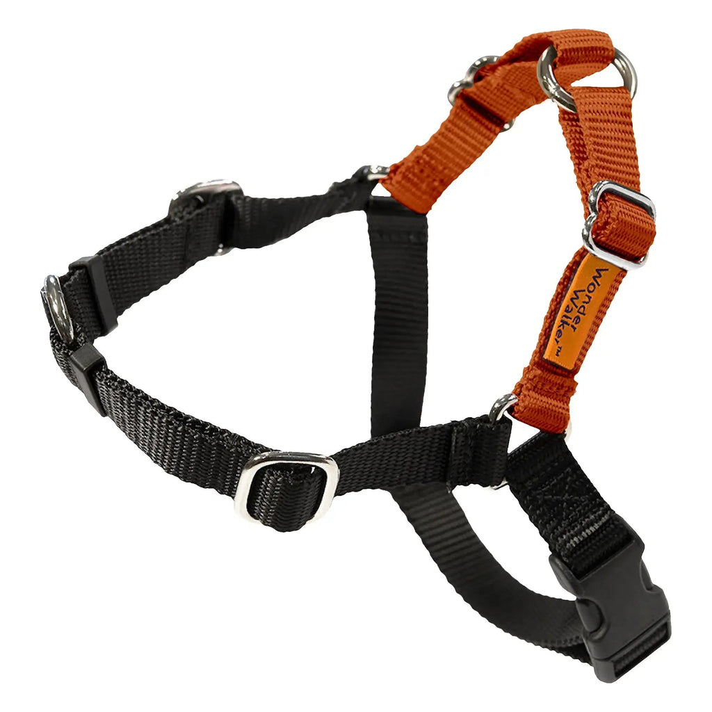Five-Point Adjustable Dog Walking Harness product image 24