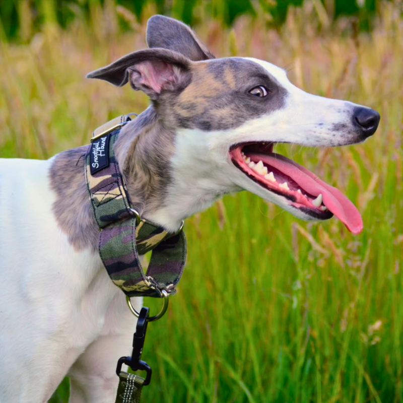 Padded Martingale Collar product image 4