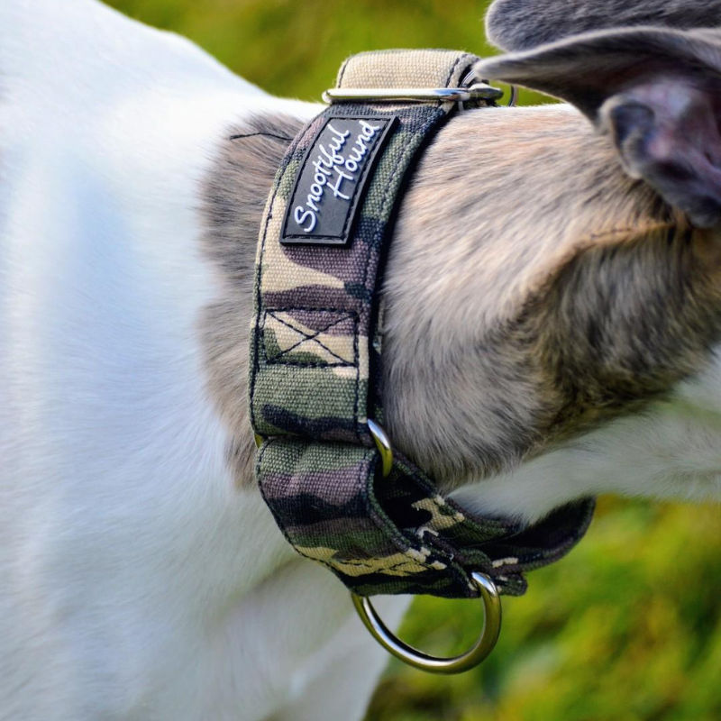 Padded Martingale Collar product image 9