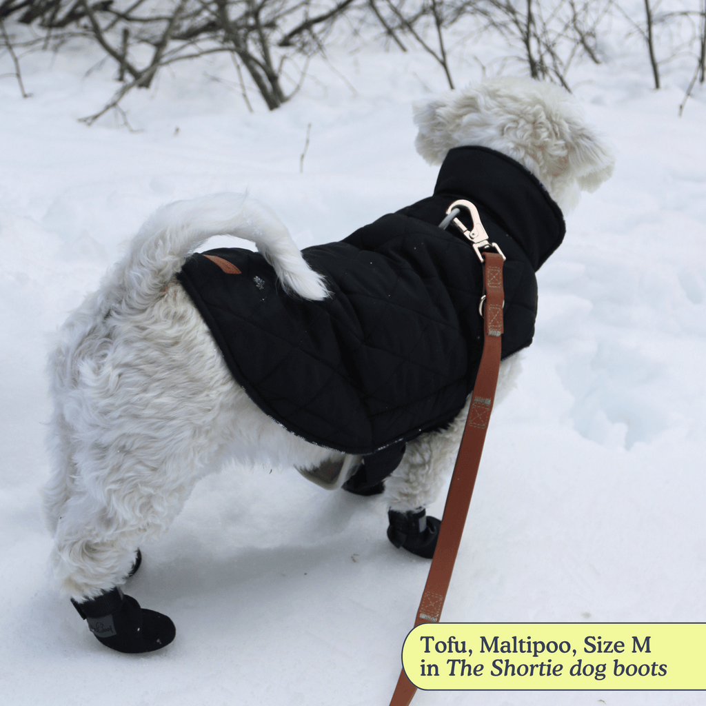 Dog Boots product image 2