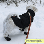 Dog Boots product image 2