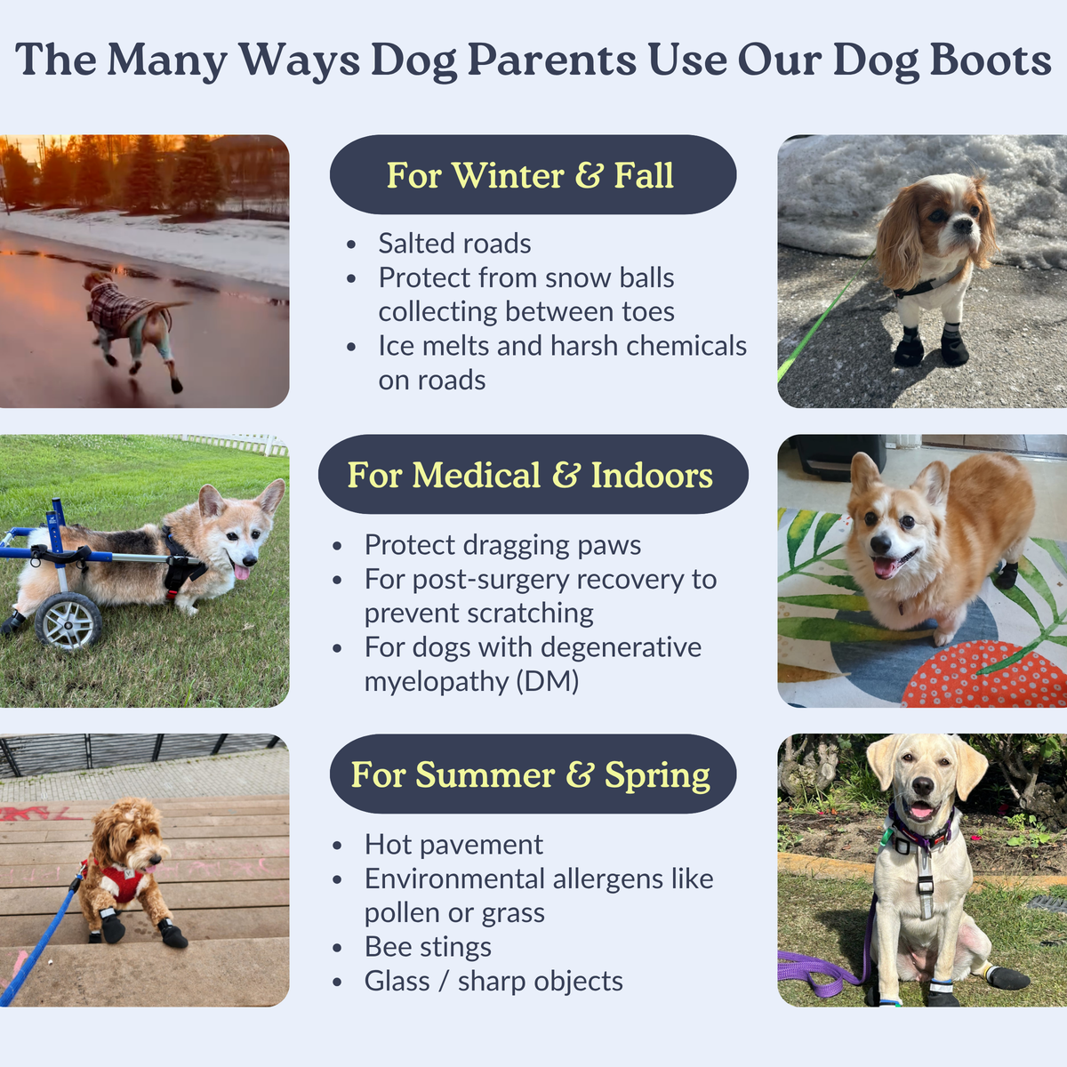 Dog Boots product image 3
