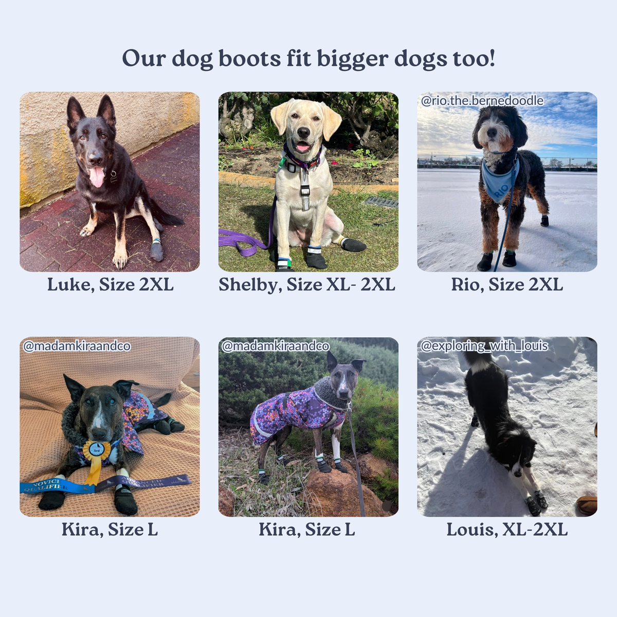 Dog Boots product image 5