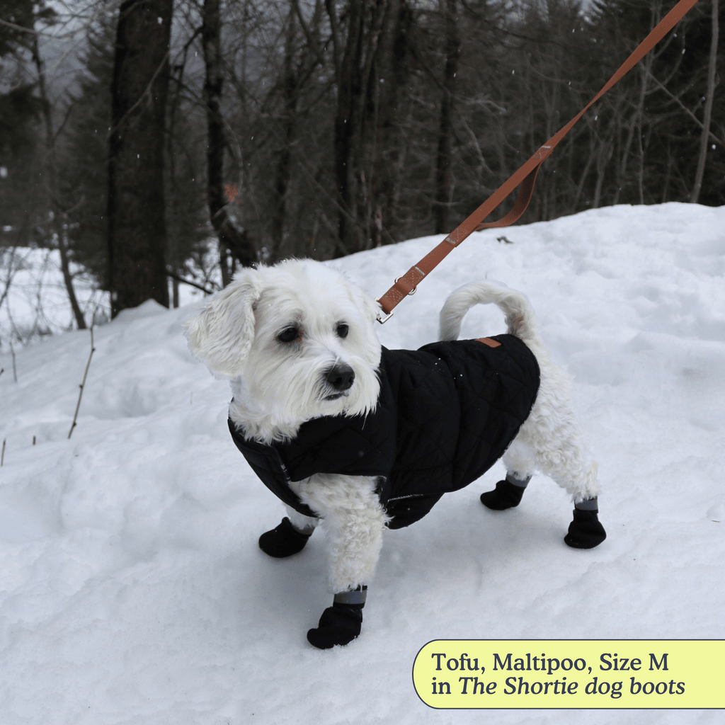 Dog Boots product image 8