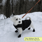 Dog Boots product image 8