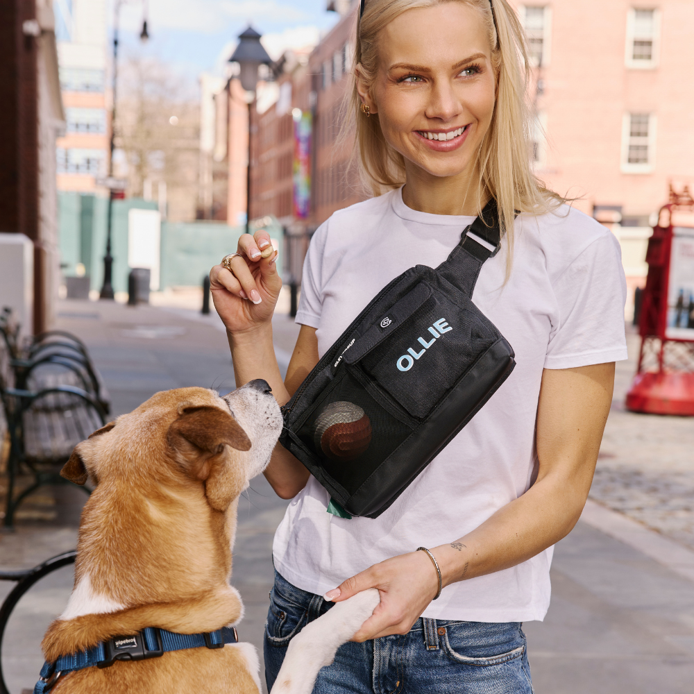 Dog Training Sling Bag product image 9