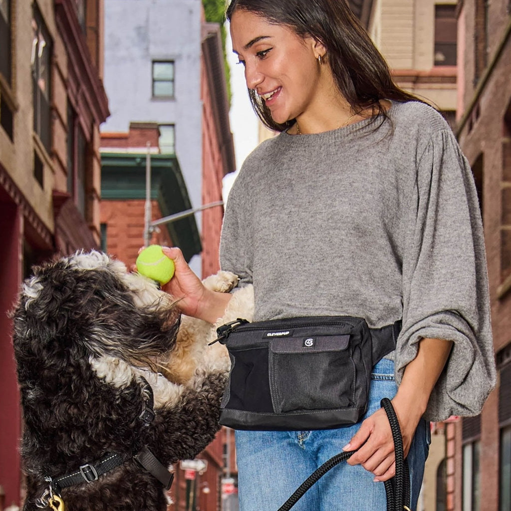 Dog Training Sling Bag product image 14